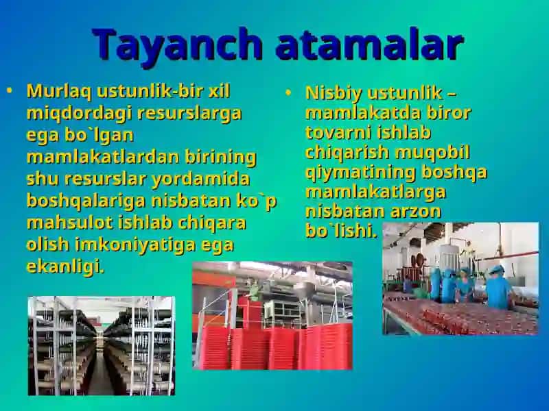Tayanch atamalar 2