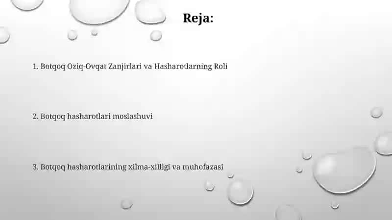 Botqoq Oziq-Ovqat Zanjirlari va Hasharotlarning Roli 2