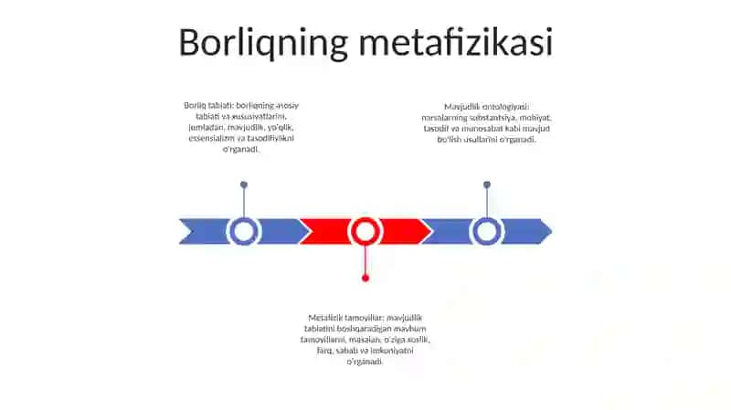 Borliq Falsafasi 2