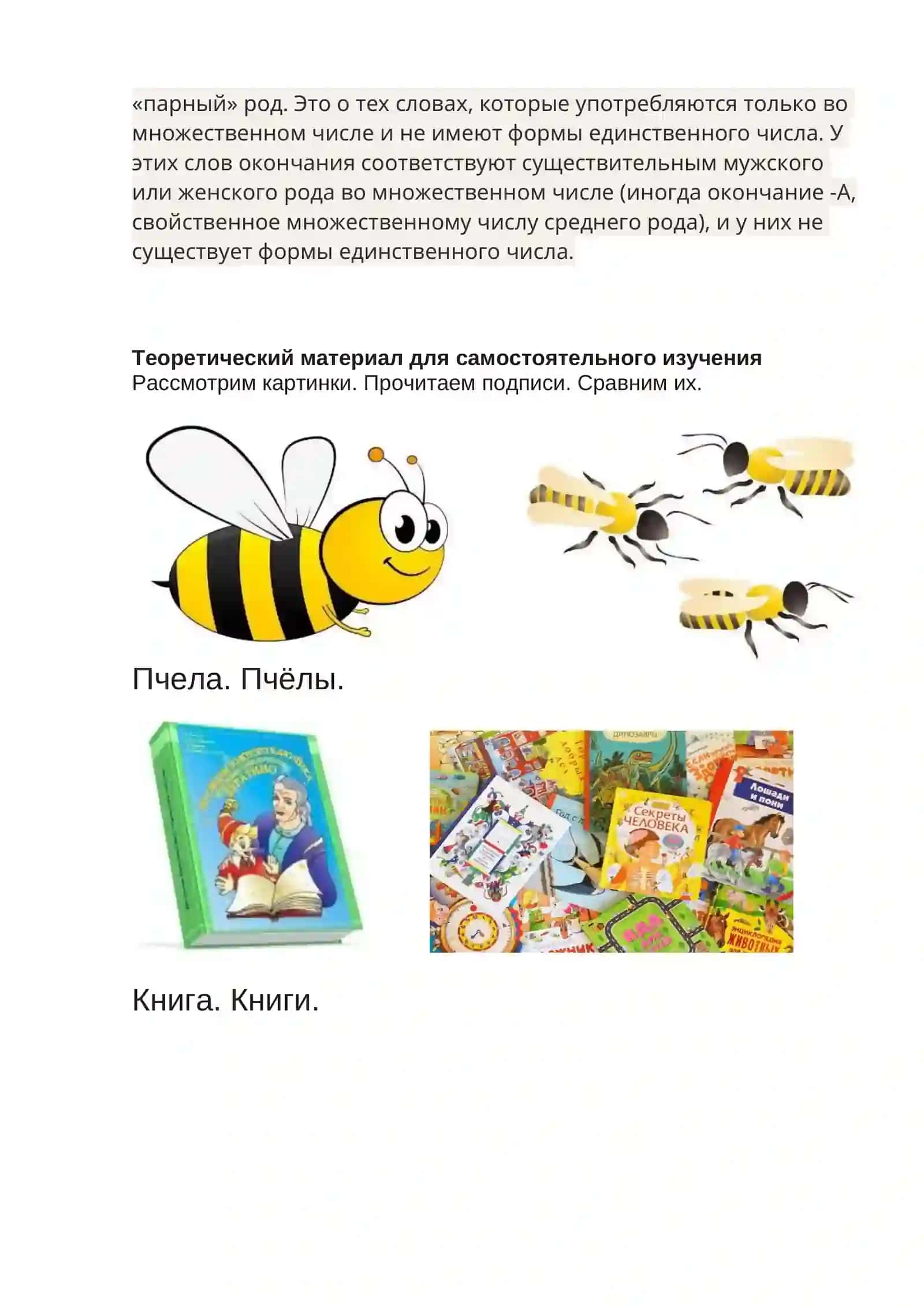 Множественное число имён существительных 2