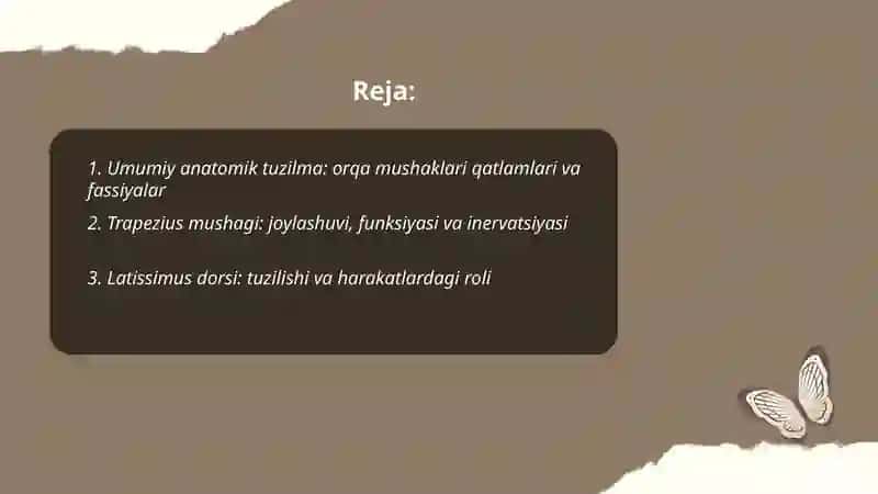 Tananing orqa tomondagi mushagi va fassiyalari 2