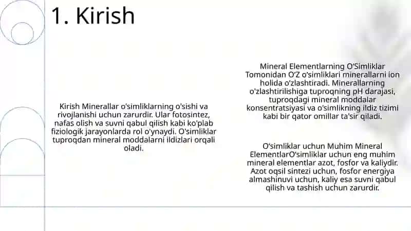 Mineral Elementlarning OʻSimliklar Tomonidan OʻZlashtirilishi 2