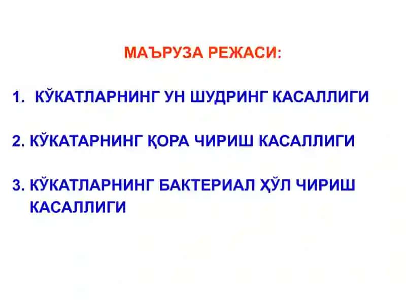 Кўкатлар касалликлари 2