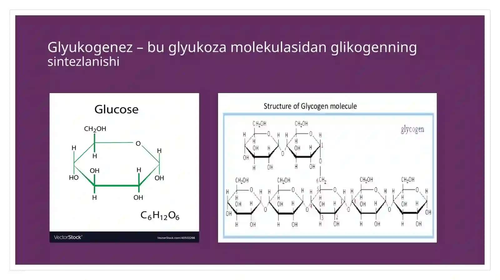 Glyukoza metobolizmi biokimyosi 2