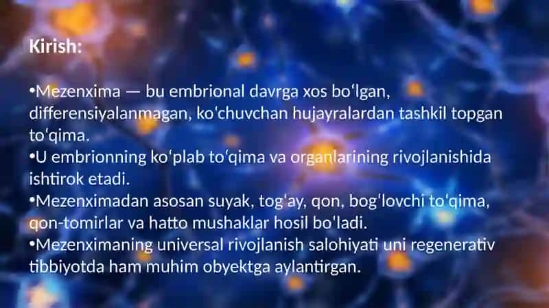 Mezenximaningtuzilishi va ahamiyati 2