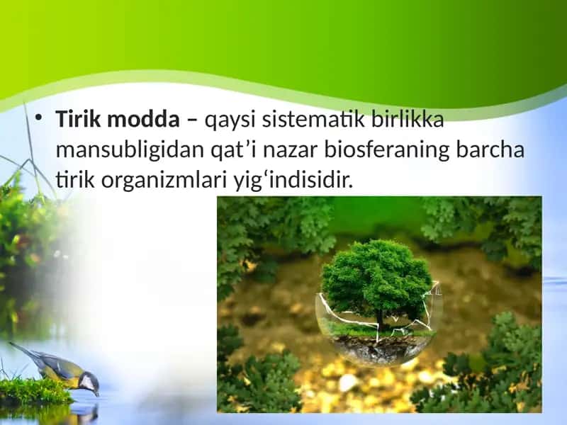 Biosferadagi tirik moddaning xususiyatlari va funksiyalari 2