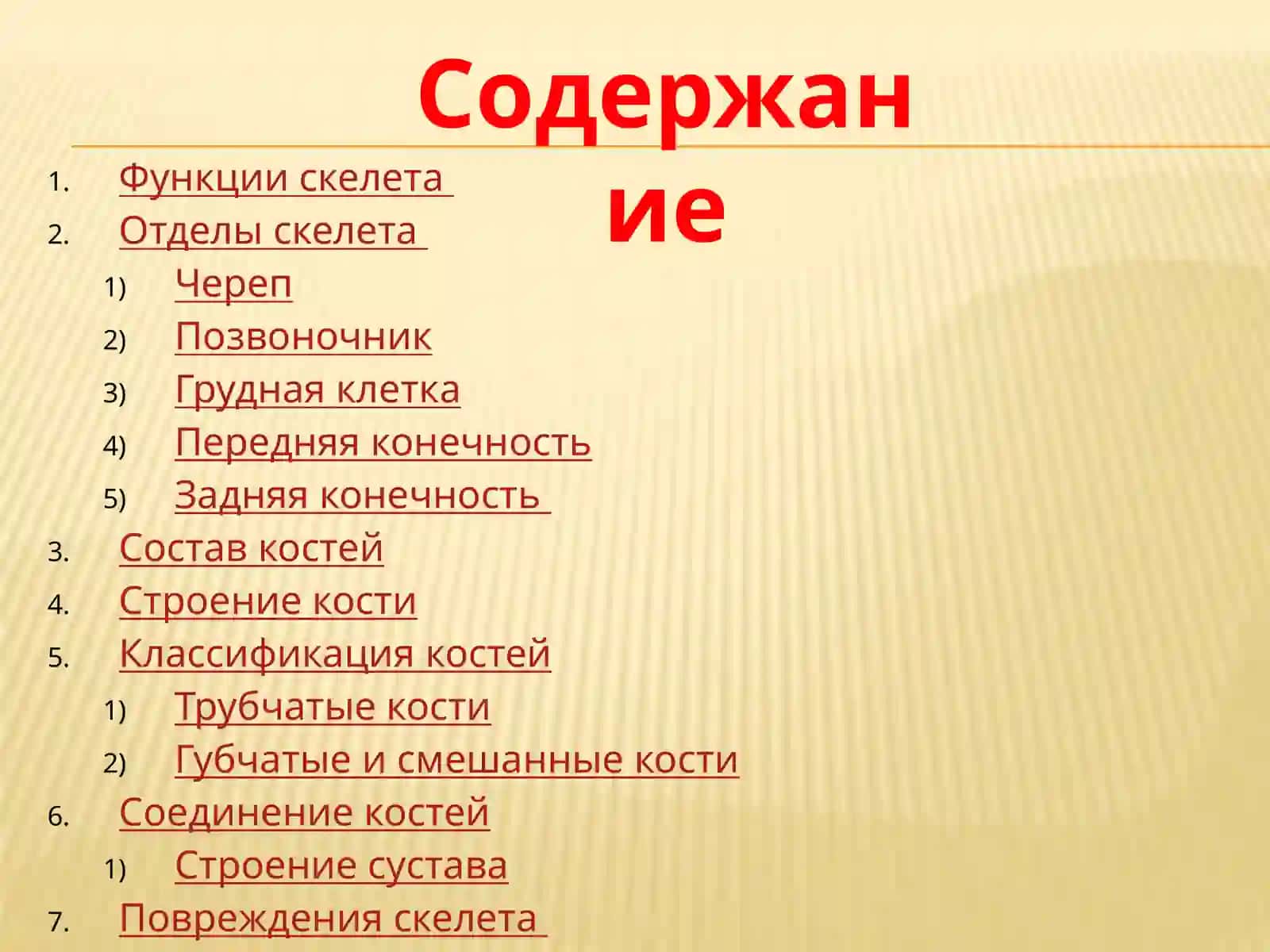 Скелет человека слайд 2026 йил 2
