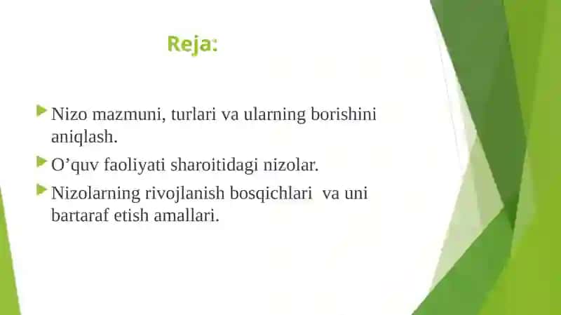 Nizo 2