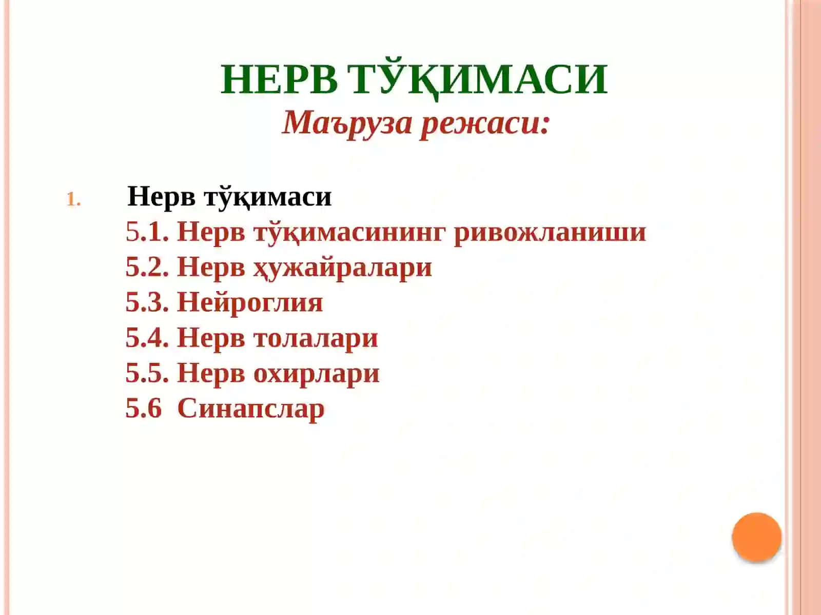 Нерв тўқимаси 2