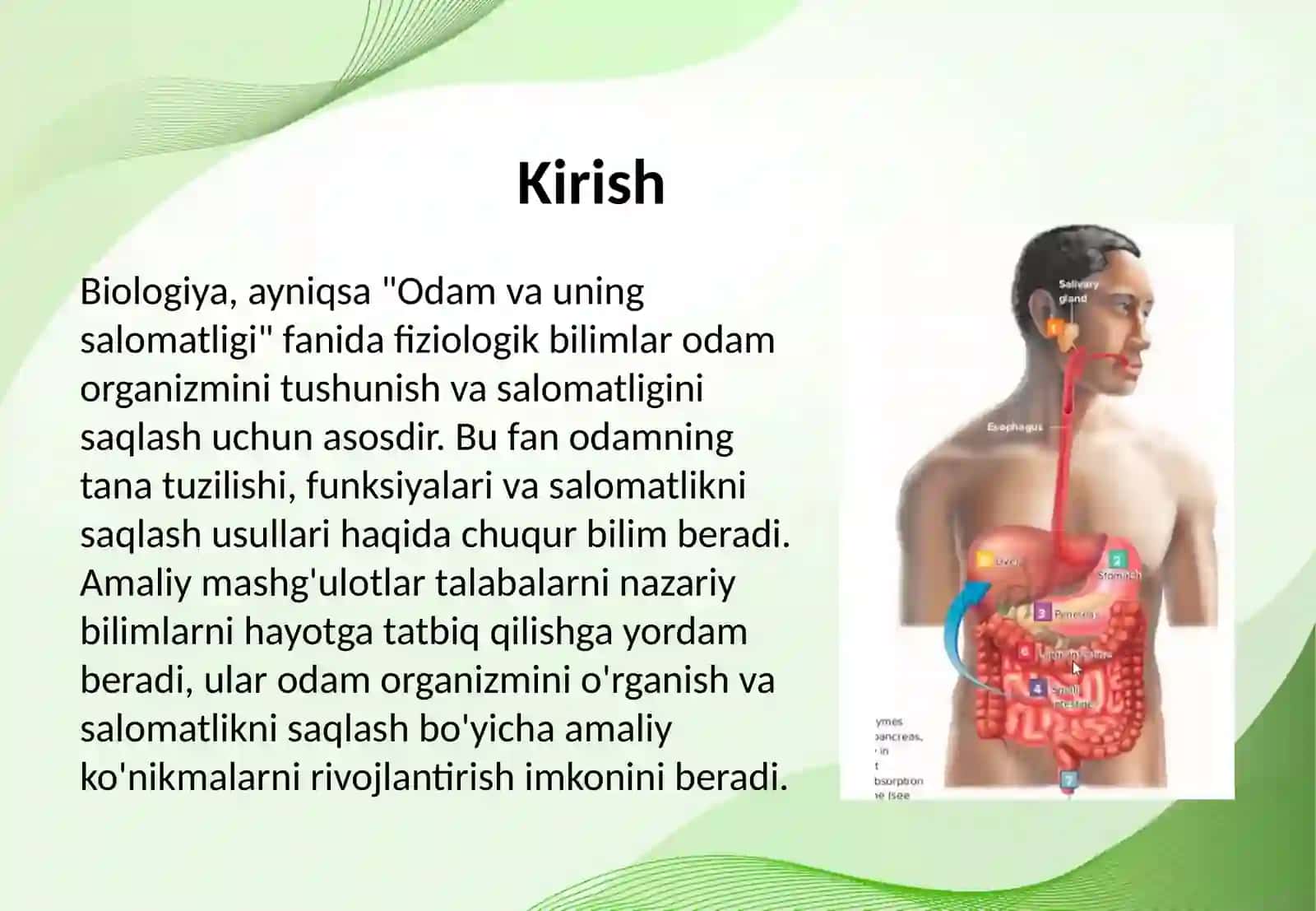 Odam va uning salomatligi o quy fanidan fiziologik mazmundagi amaliy mashg'ulotlarini tashkil etish metodikasi . Odam va uning salomatligi o'quv fanidan fanlararo integratsiyaga asoslangan amaliy mashg'ulotlarini tashkil etish metodikasi 2