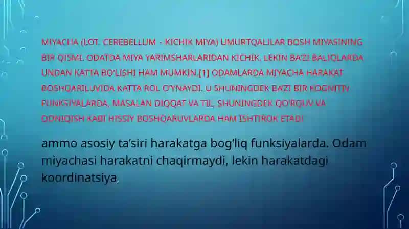 miyachada neyronlararo aloqalar 2