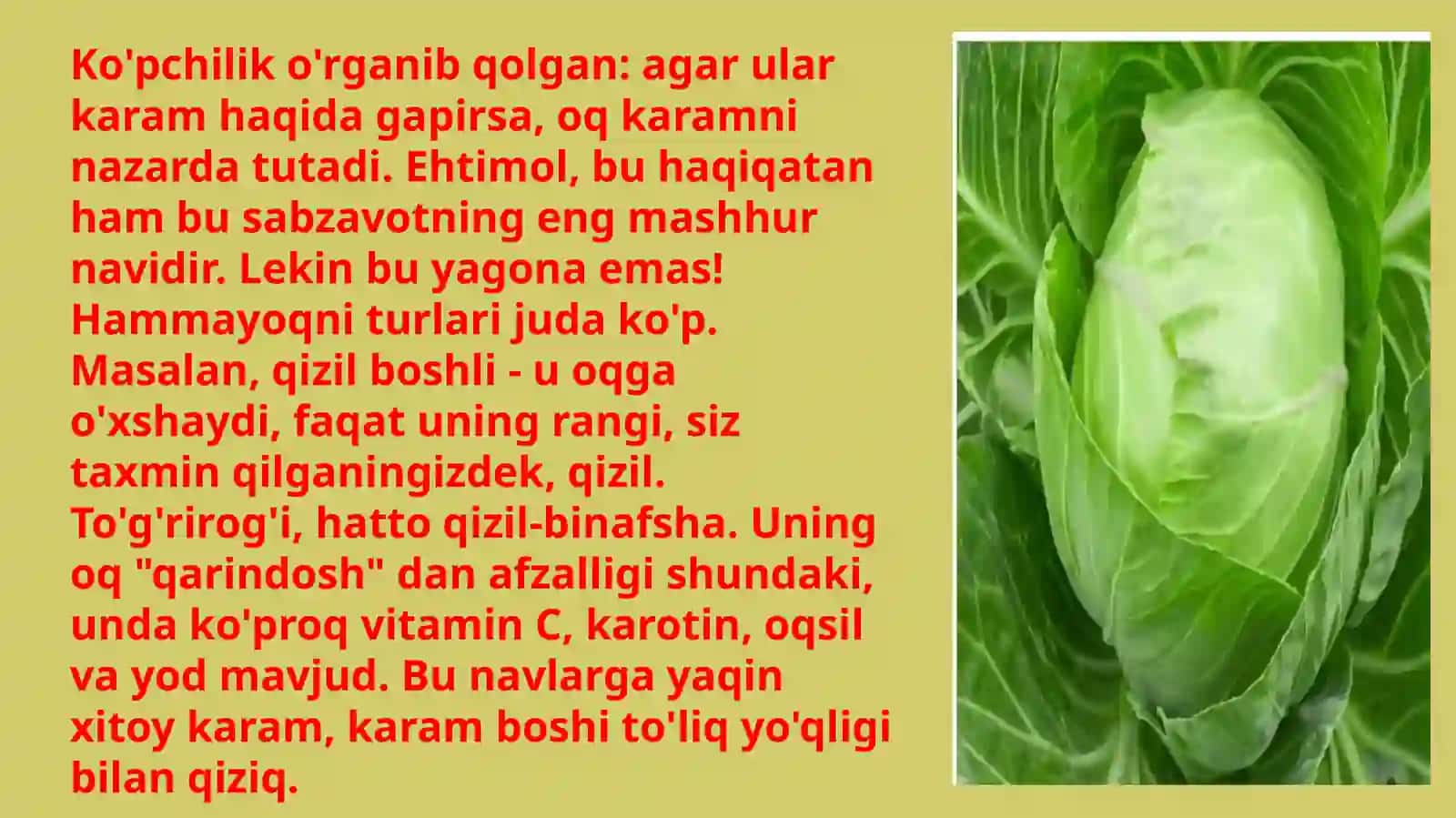 KARAM EKINI OʻGʻITLASH TIZMI 2