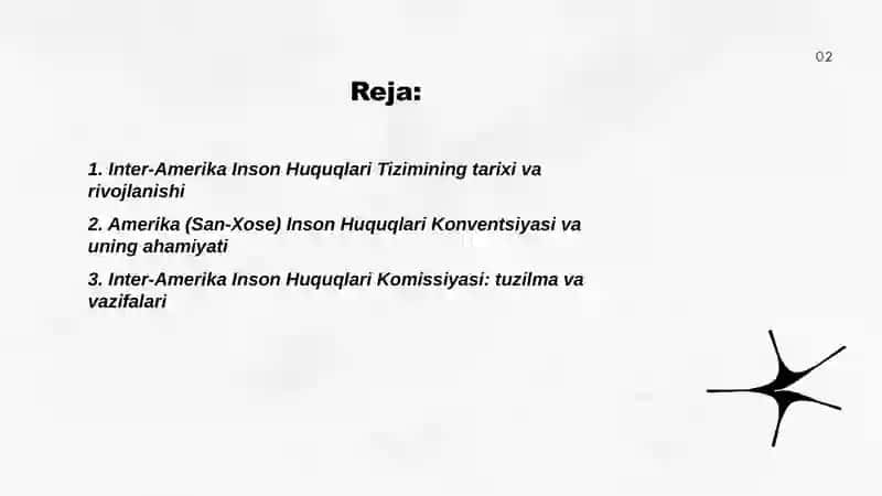 Inter-Amerika Inson Huquqlari Tizimi 2