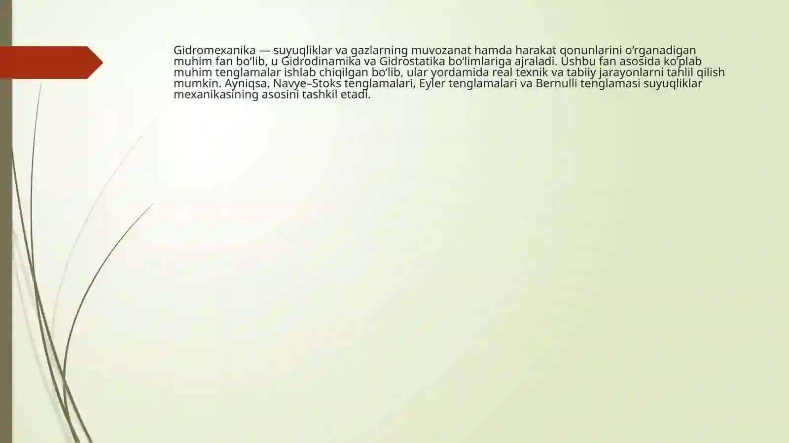 Navye–Stoks differensial tenglamasi 2