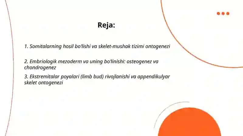 Somitalarning hosil bo‘lishi va skelet-mushak tizimi ontogenezi 2