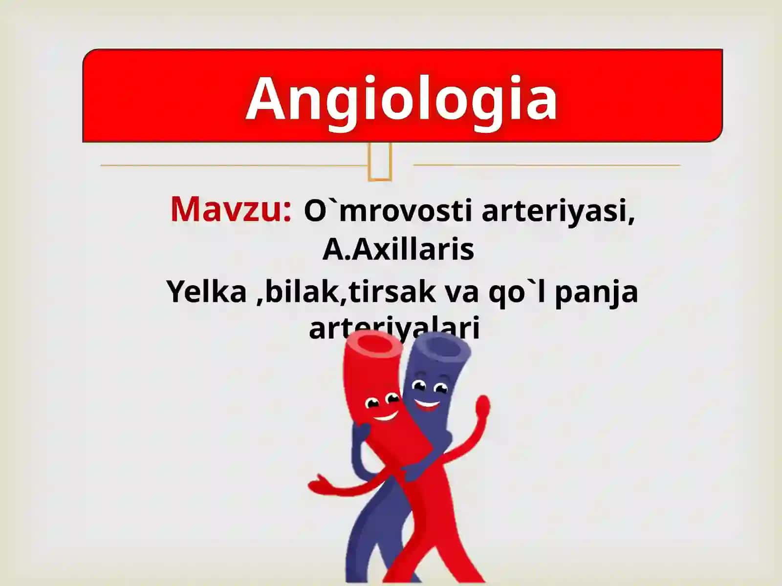 Qo`l arteriyalari 2