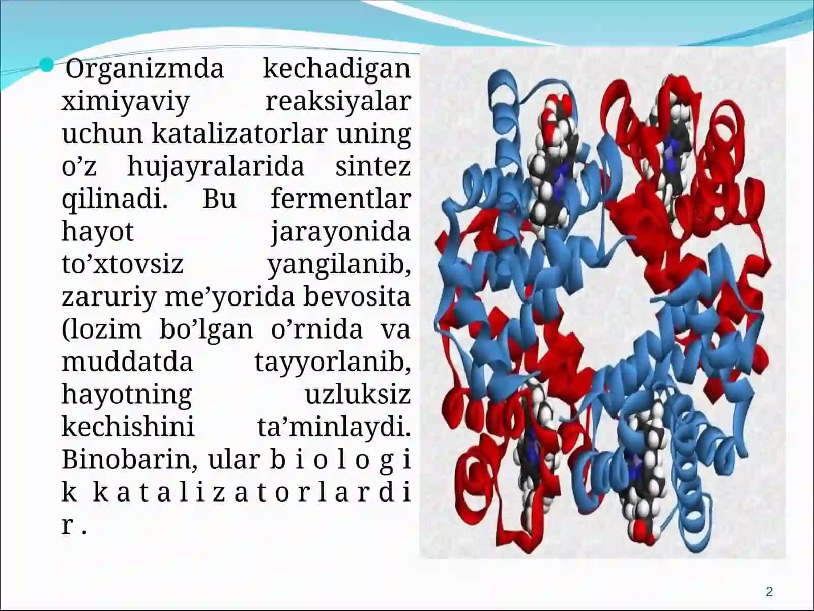 Fermentlarning roli haqidagi dastlabki tushunchalar 2