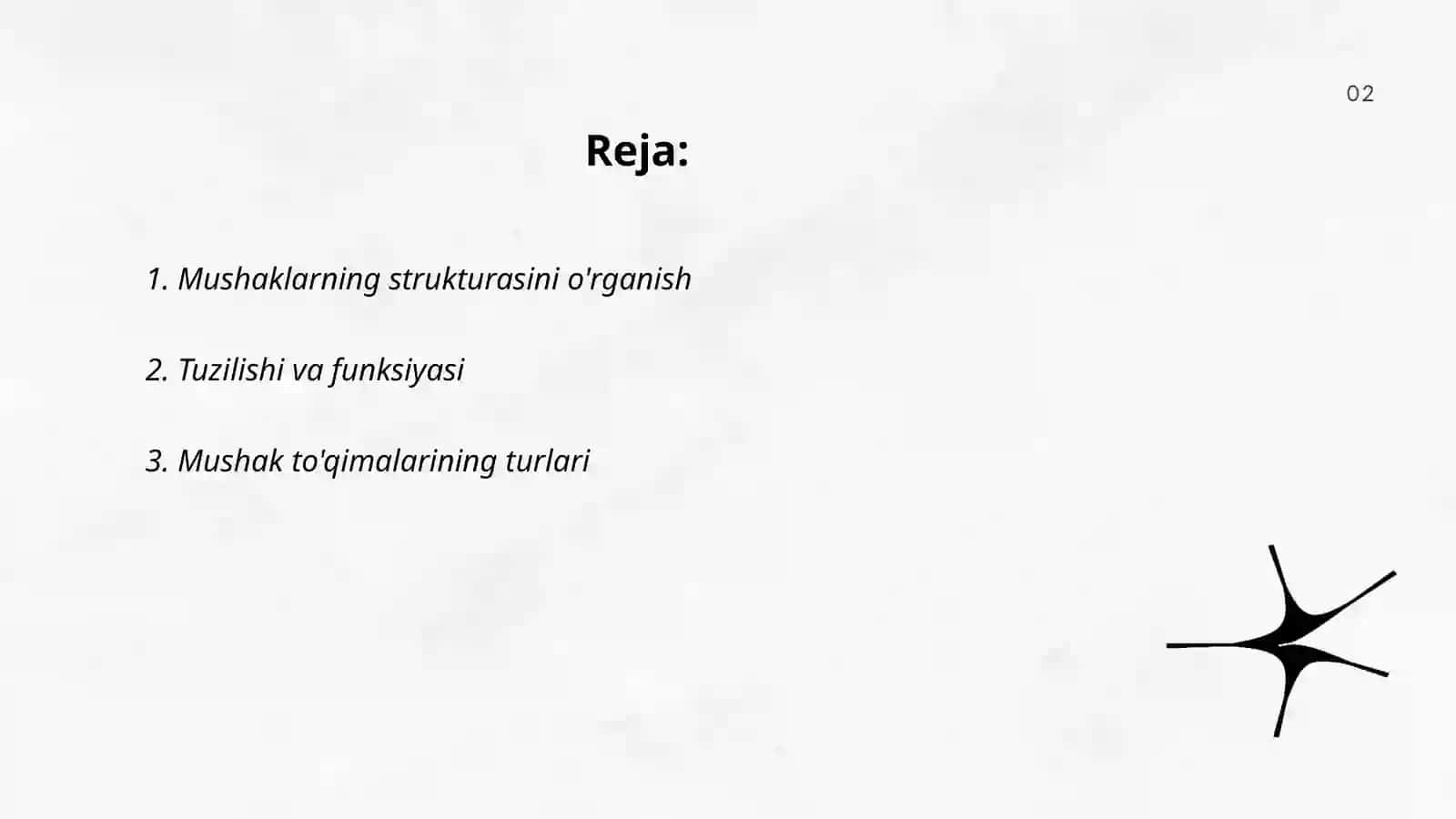 Muskul fiziologiyasi 2
