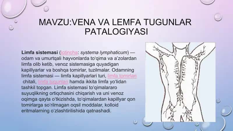 Limfa sistemasi va venoz yitishmovchilik patologiyasi 2