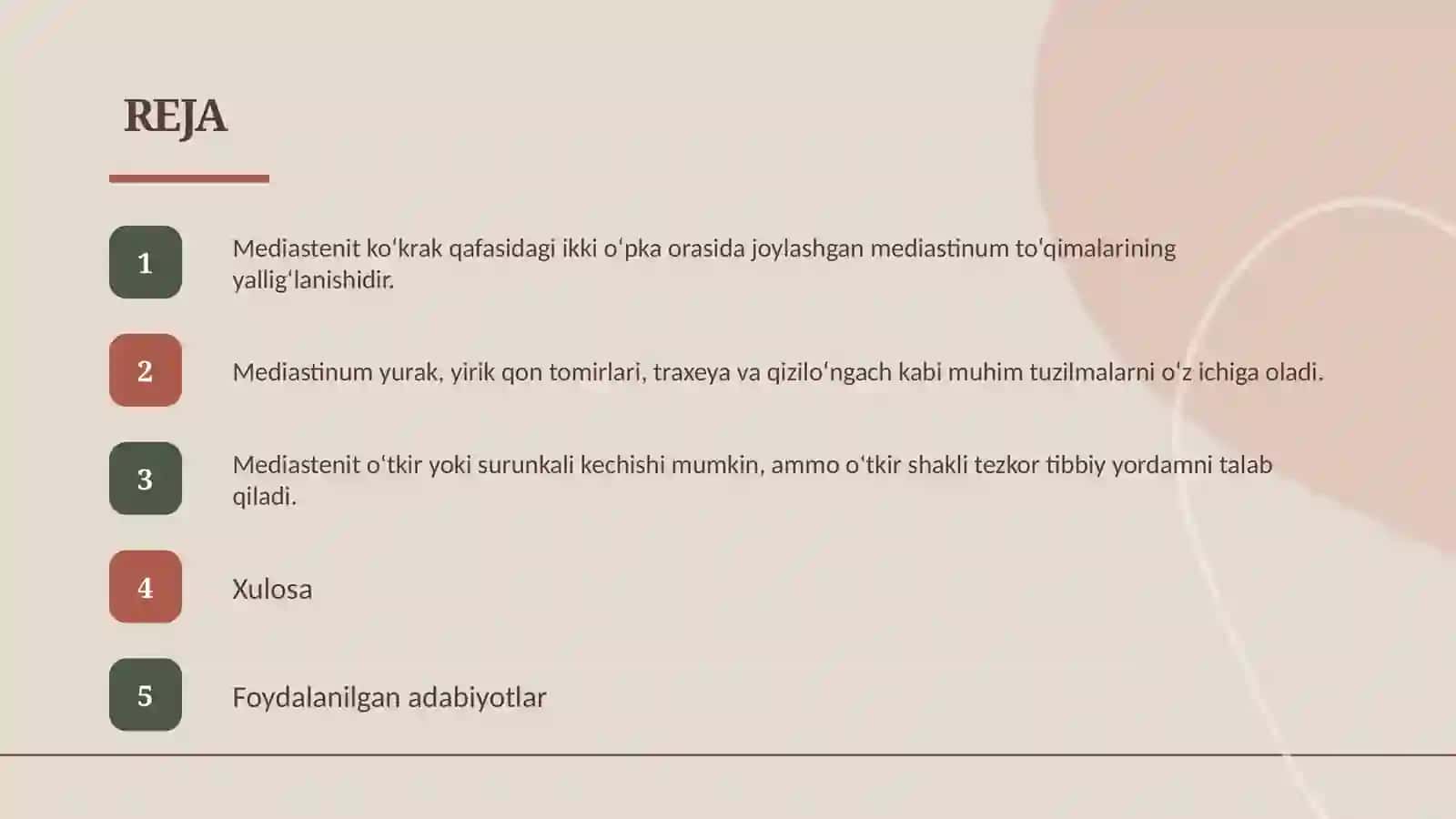 Mediastenit 2