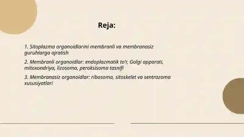 SITOPLAZMANING ORGANOIDLARNING KLASSIFIKATSIYASI. ENDOPLAZMATIK TO'R, RIBOSOMA TUZILISHI VA VAZIFALARI 2