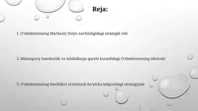 O'zbekistonning Markaziy Osiyodatinchlikvabarqarorliknitaminlashdagiòrni 2
