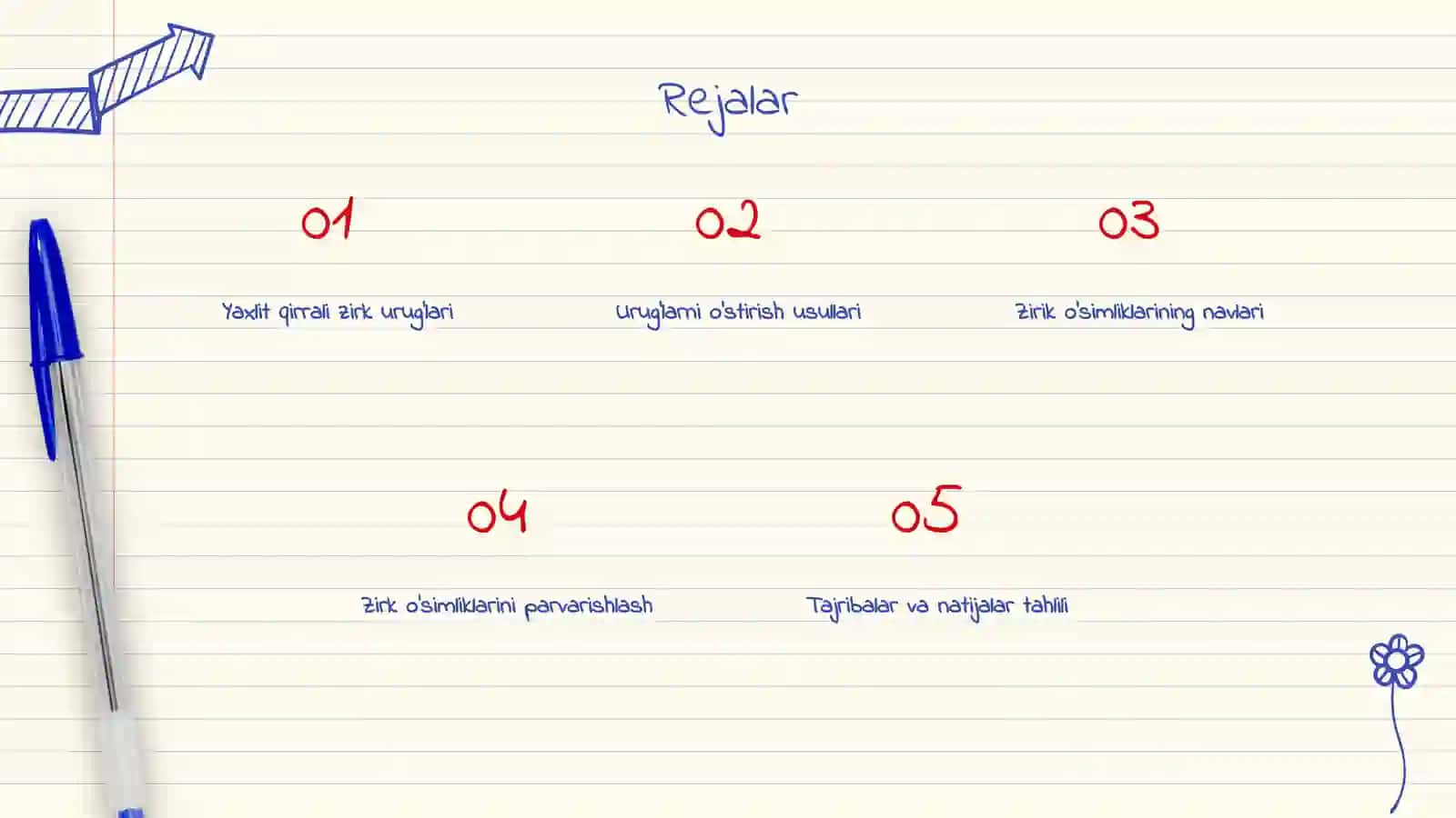 Yaxlit qirrali zirk 2