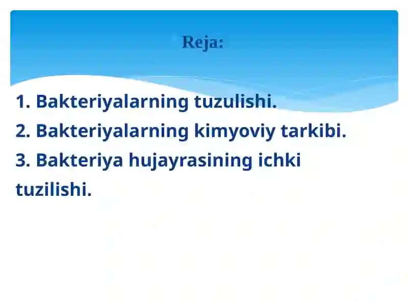 Bakterial hujayraning kimyoviy tarkibi 2