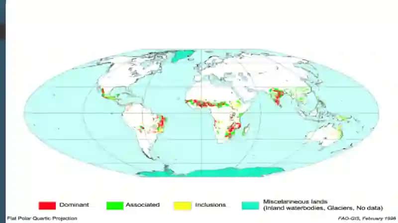 subtropik va tropik mintaqa tuproqlari 2