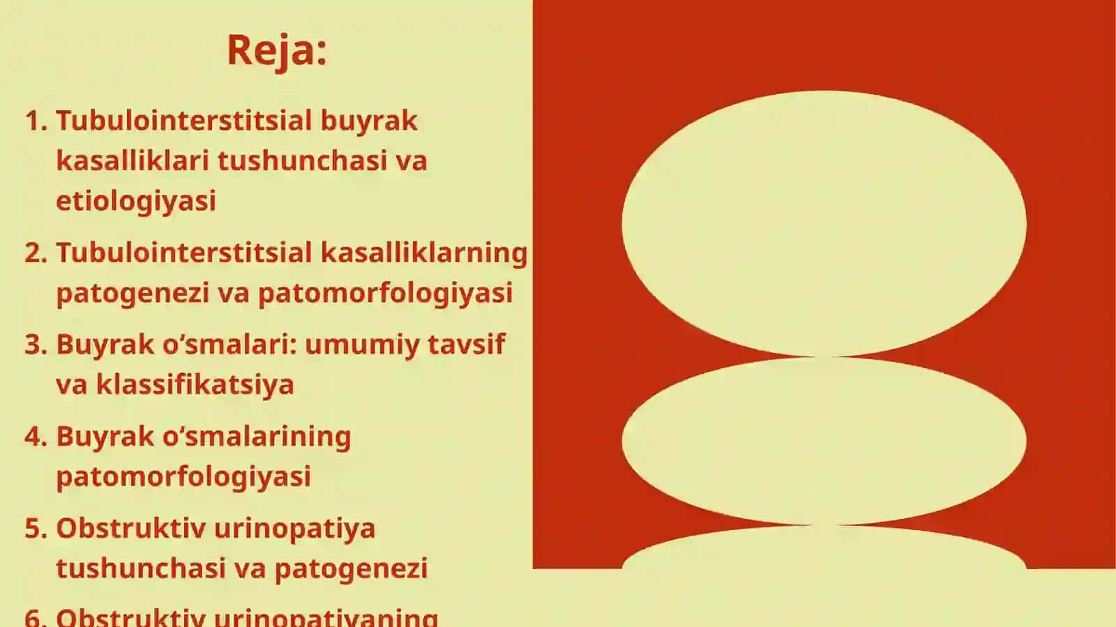 Tubulointerstitsial kasalliklar, buyrak o‘smalar va obstruktiv urinopatiya 2