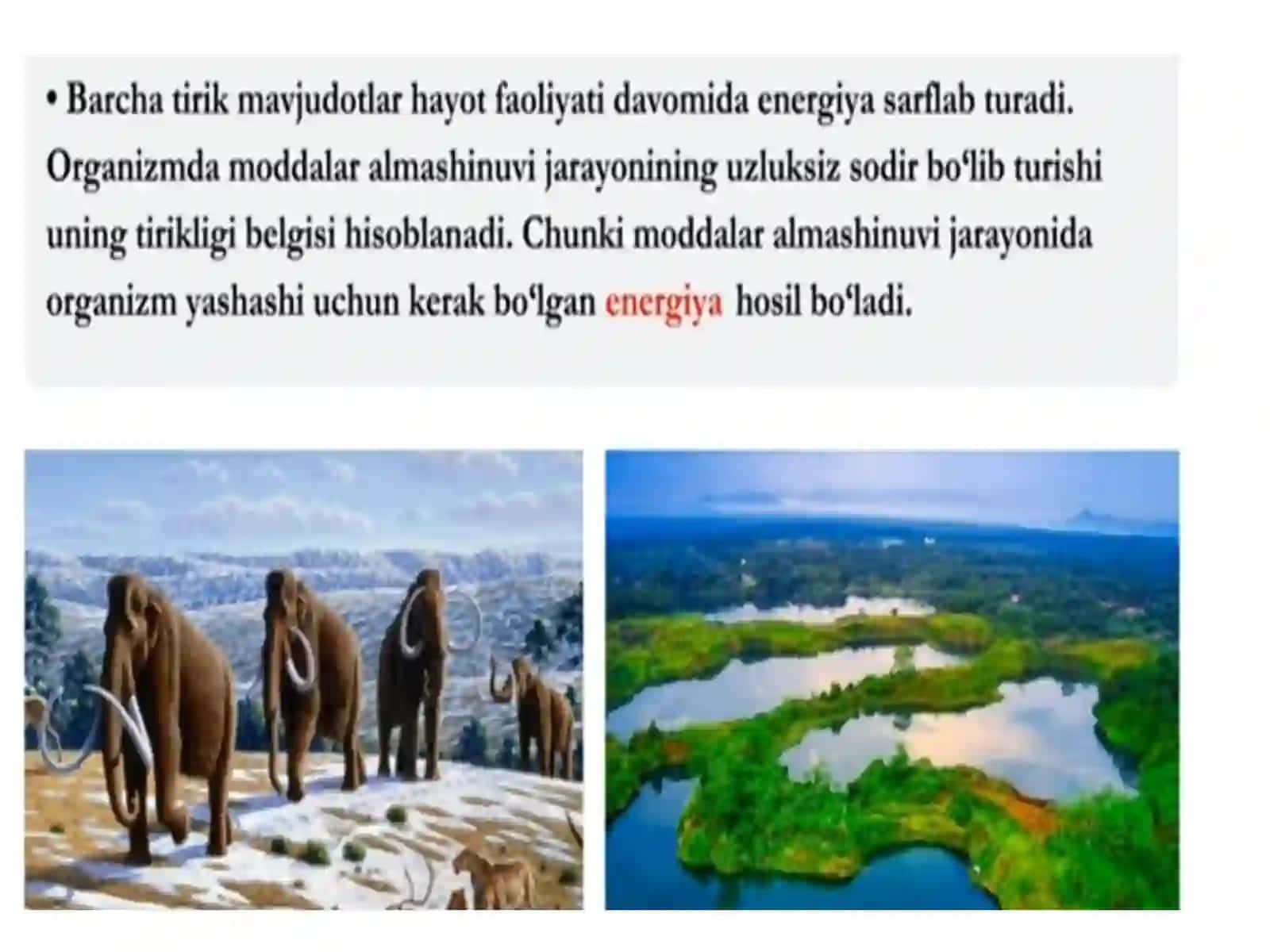 Nafassistemasifiziologiyasi 2