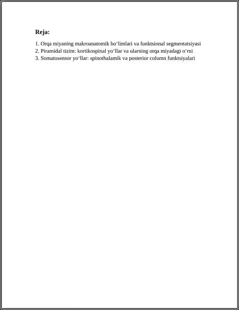 MARKAZIY NERV TIZIMINING FUNKTSIONAL ANATOMIYASI. ORQA MIYA VA ORQA MIYA PARDALARI, UNING YOSHGA DOIR XUSUSIYATLARI 2