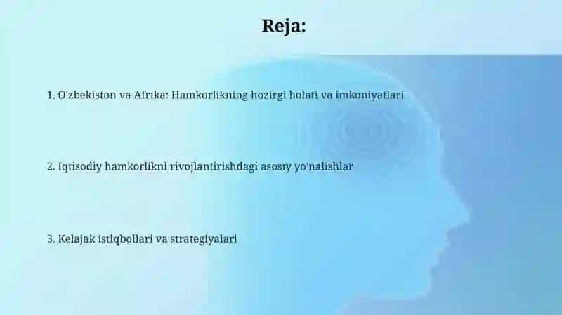 O'zbekiston va Afrika davlatlarining iqtisodiy hamkorligi va istiqbollar 2