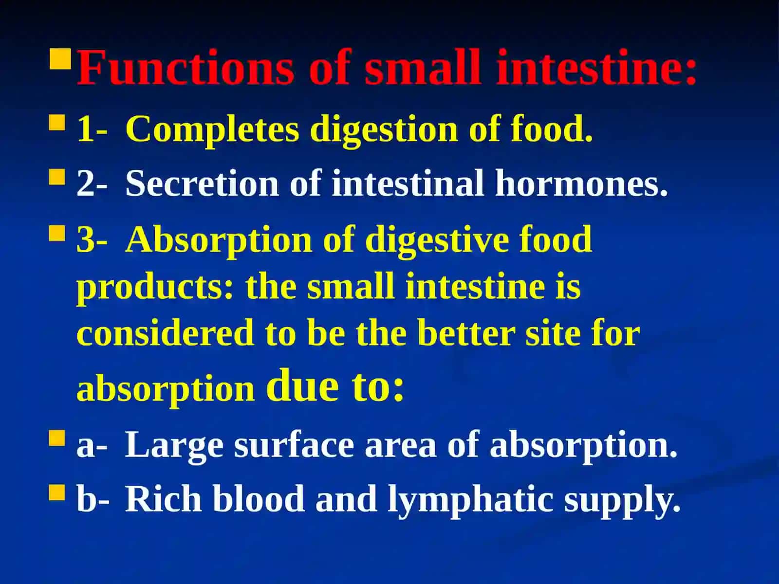 The small intestine 2