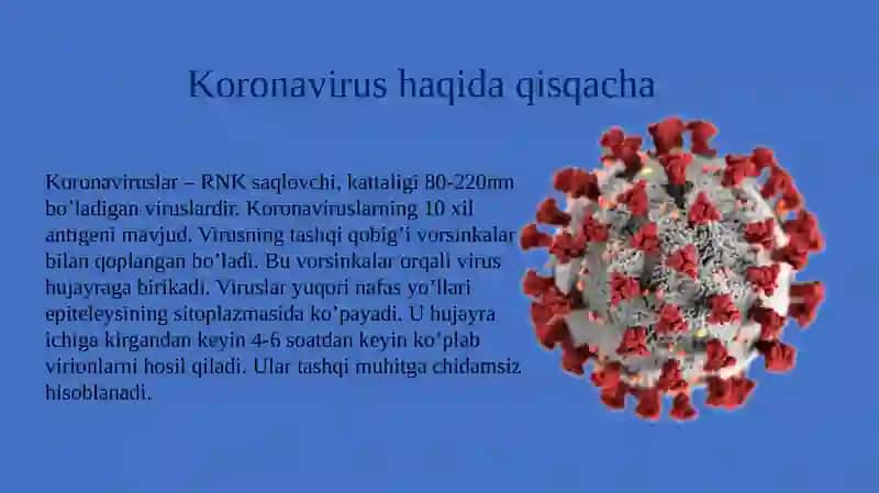 Koronavirusnidavolashusullari 2