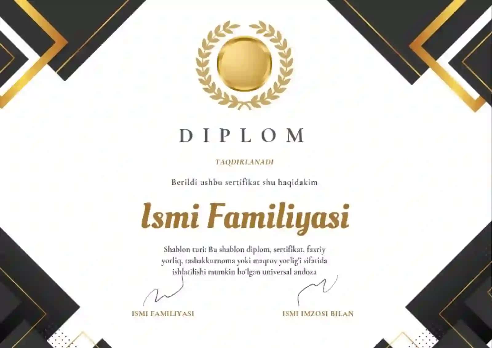 DIPLOM 2