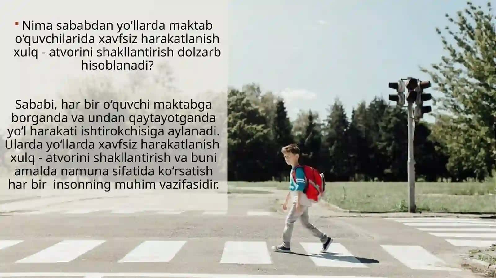 Yo‘llarda bolalar xavfsizligini ta’minlash chora - tadbirlari 2