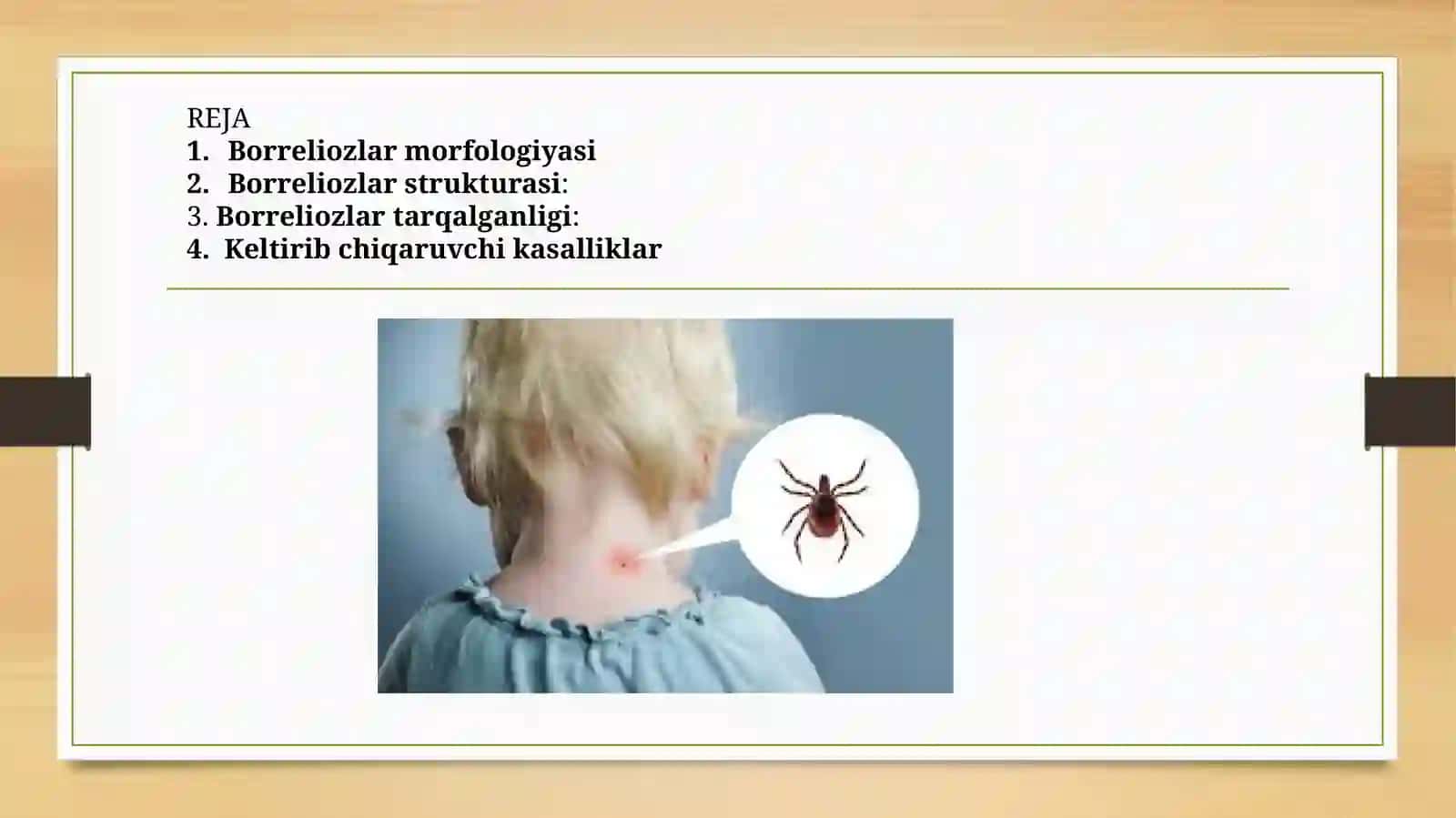 Borreliozlar morfologiyasi Borreliozlar morfologiyasi strukturasi Tarqalganligi keltirib chiqaruvchi kasalliklari mavzusida tayyorlagan 2