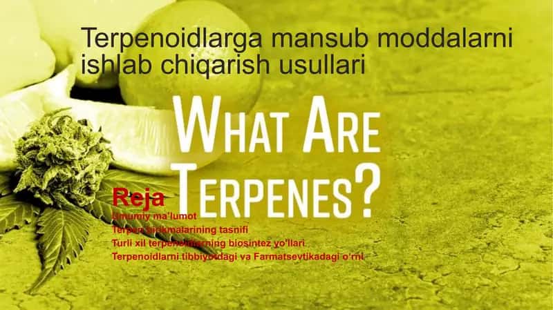 Terpen birikmalari 2