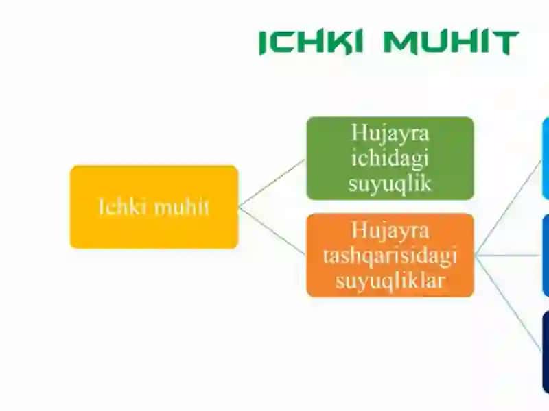 Qon vaqon hosil qiluvchi organlar va yurak qon-tomir tizimining fiziologiyasi va yoshg'a bog'lik xususiyatlari 2