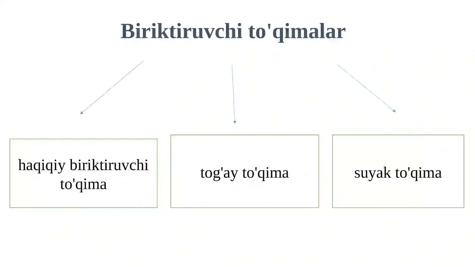 Biriktiruvchi  toʻqimalari 2