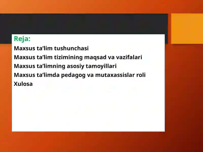 Maxsus ta’lim tizimi 2