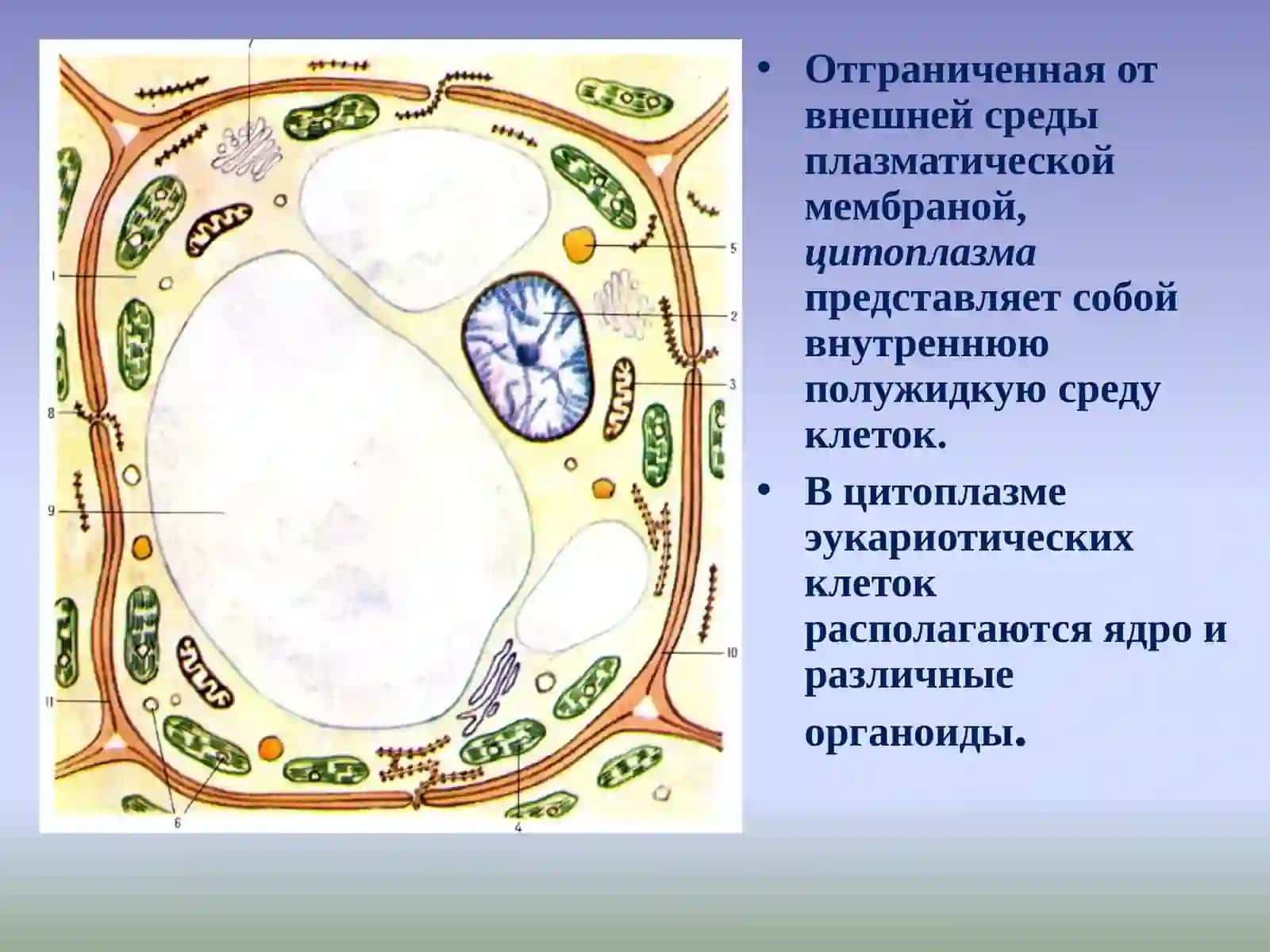 Ядро 2