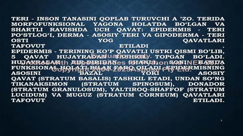 Meyyor terining anatomiyasi, gistologiyasi, fiziologiyasi 2