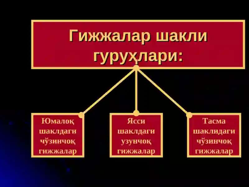 ГИЖЖА ЭНВАЗИЯСИ 2