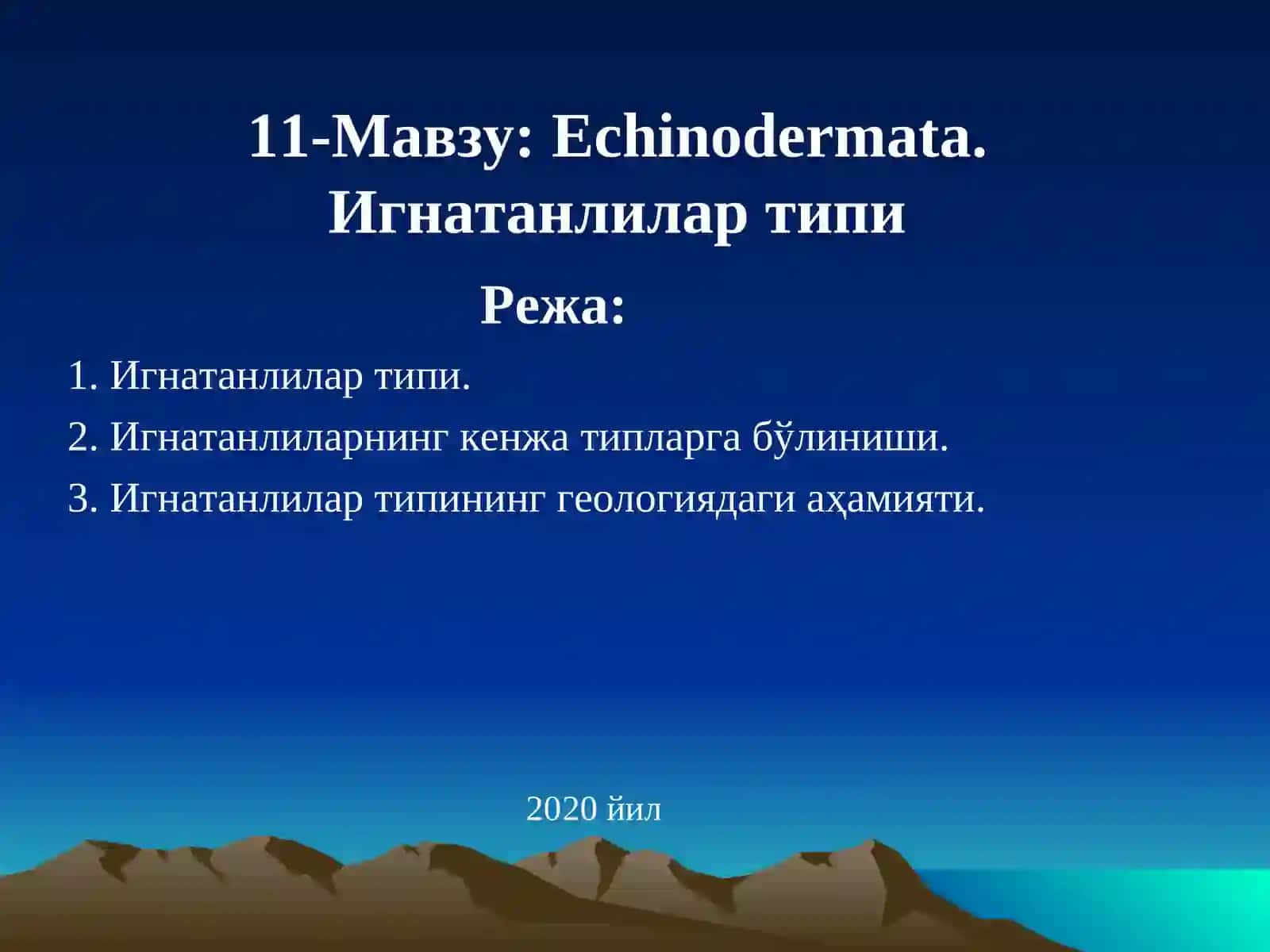 Echinodermata 2