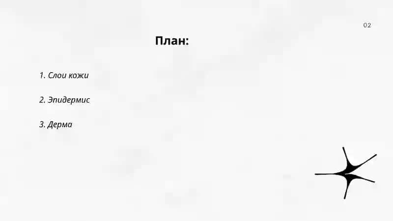 Строение кожи 2