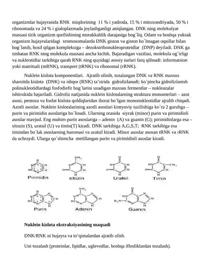 Laboratoriya mashg’uloti-5 2