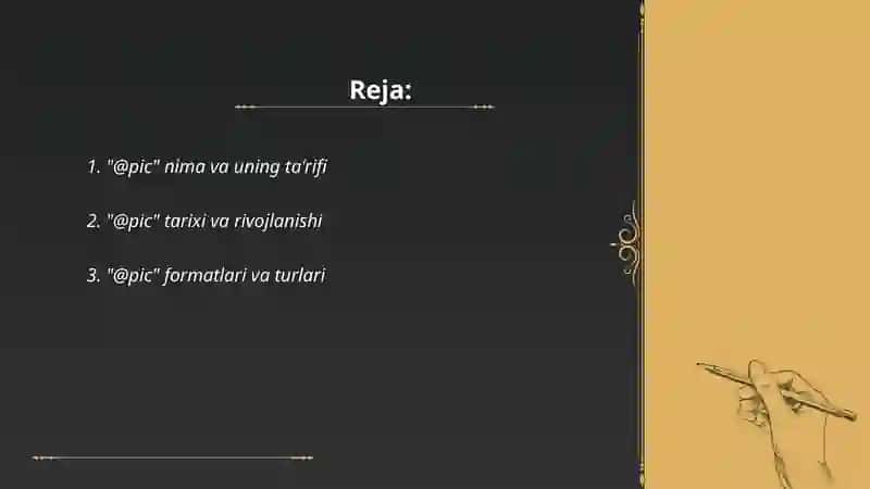 "@pic" nima va uning ta'rifi 2
