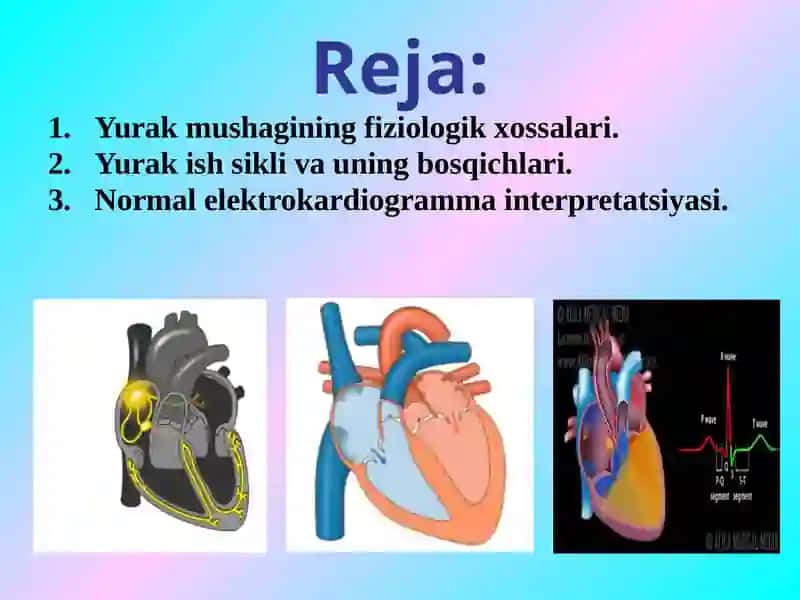 Yurakning gemodinamik vazifasi. Yurak muskulining asosiy fiziologik xossalari 2